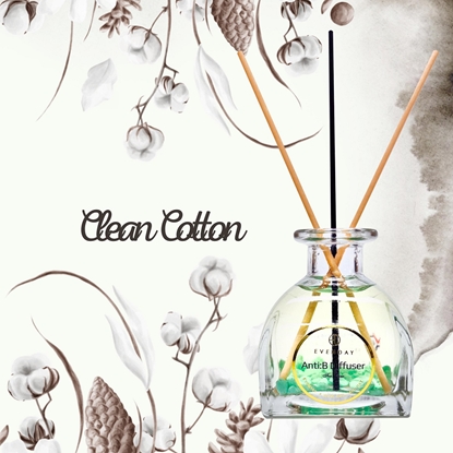 【韓國EVENDAY】Anti:B 療癒香氛精油擴香組(50ml)2入