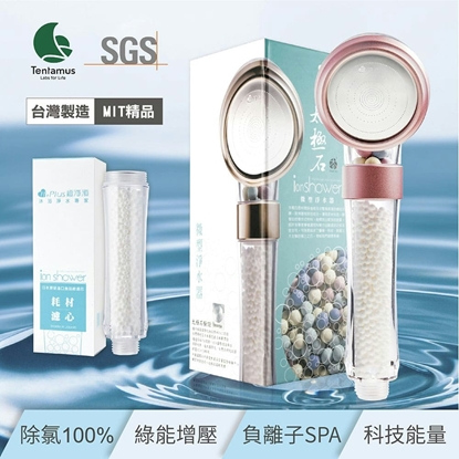 【極淨源】太極石四道除氯沐浴淨水蓮蓬頭經典套組