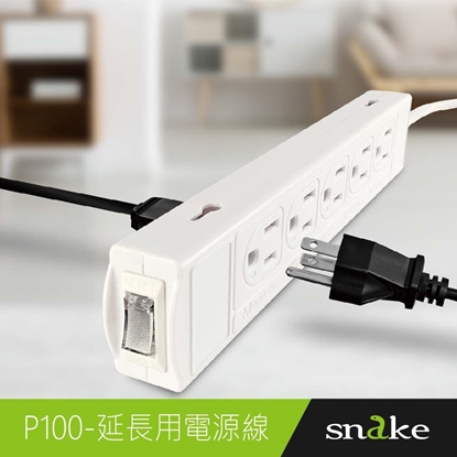 蛇吞象SNAKE  P100 1開10插3孔1M直頭15A延長用電 (兩入)