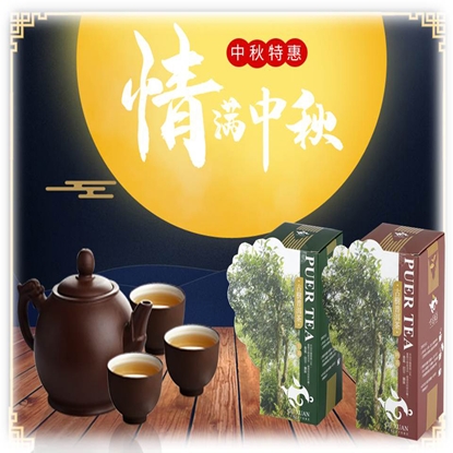 品茗賞茶【普洱茶】組(生茶+熟茶)-現貨免運