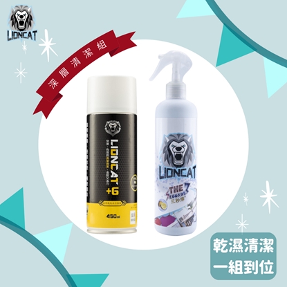 『感恩回饋』深層清潔組（乾洗去污慕斯450ML＋三秒淨500ML）