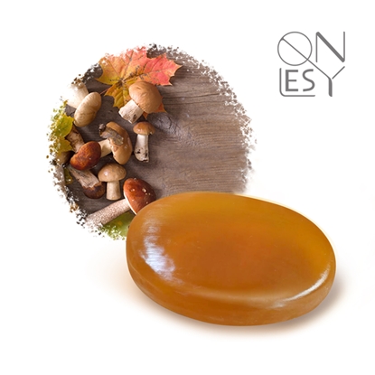 【壹偲】菇~嚕~菇嚕 * 混合肌