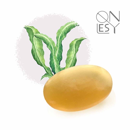 【壹偲】左旋褐藻膠原