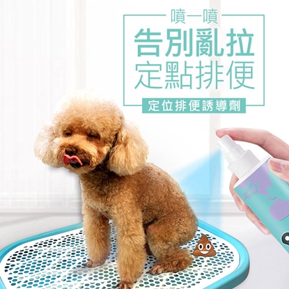 道力其寵物定位排便誘導劑 120ml(贈可撕式黏毛滾筒)