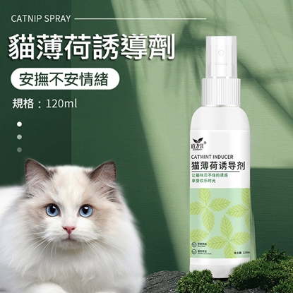 道力其貓薄荷誘導劑120ml(贈可撕式黏毛滾筒)