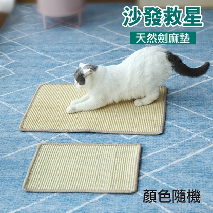 3入貓抓劍麻墊(不掉屑) 30CMx40CM顏色隨機