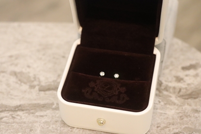 {STELLA LUO JEWELRY}簡約優雅鑽石耳釘(30分)