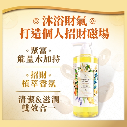 雨揚老師推薦【雨揚珍品】財庫滿盈能量植萃沐浴精 750ml3入組 (財神法會加持水/招財/午時水/補財氣)-美