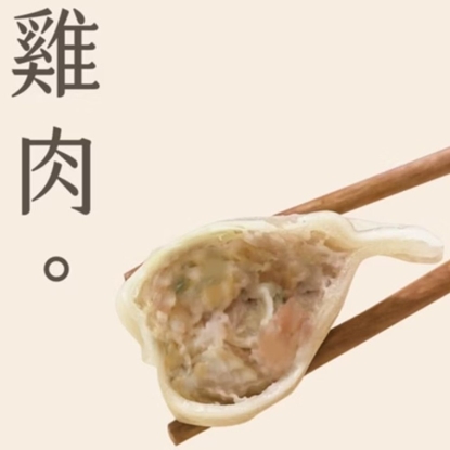 【低GI輕鬆吃】李大娘手工水餃-田園雞肉超值5包組(42-47入/包)