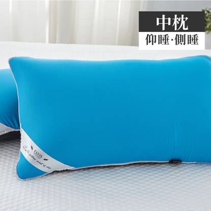 ELVIS 愛菲斯 ┃舒壓排汗涼感四季枕_0 ELVIS 愛菲斯 ┃舒壓排汗涼感四季枕_1 本商品適用活動 活動 😲科技展感謝祭-滿件送好禮 ELVIS 愛菲斯 ┃舒壓排汗涼感四季枕