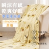 圖片 韓風美顏零度冰紗涼被-蕉遊