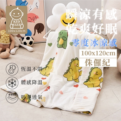 韓風美顏零度冰紗涼被-侏儸紀