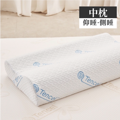 ELVIS 愛菲斯┃天絲舒柔記憶枕